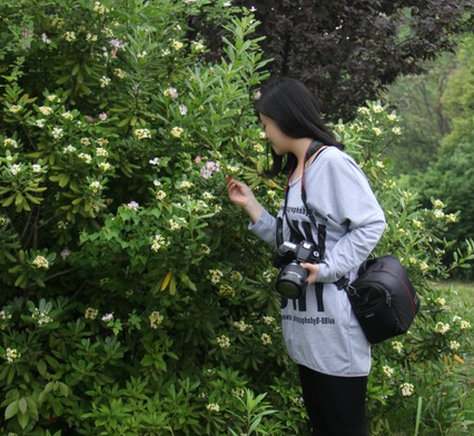 5b31b5a07b970.png 1-2.png